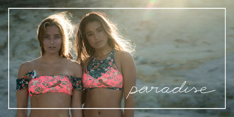 Discover: PARADISE