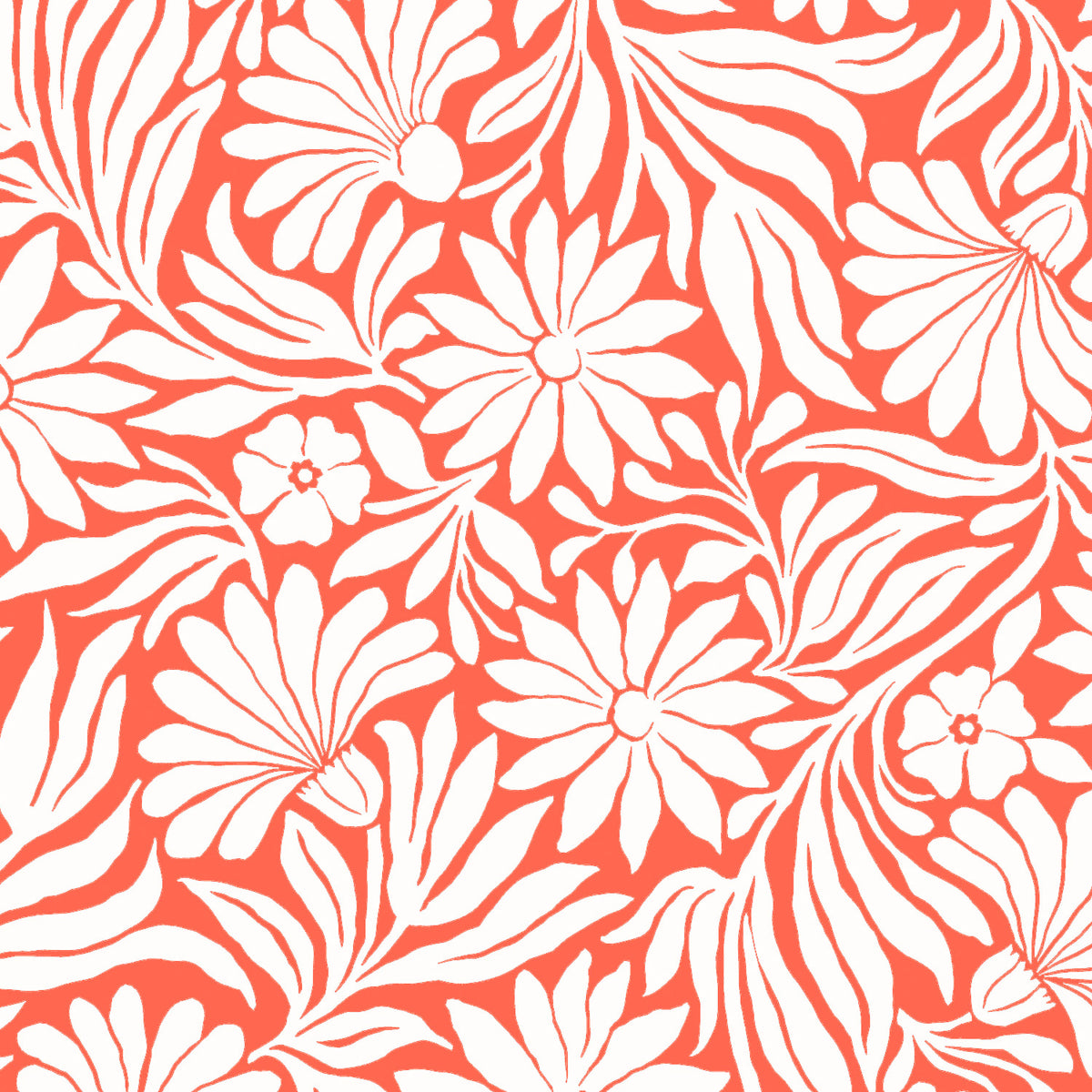 Aurora Crop Top - SERENADE