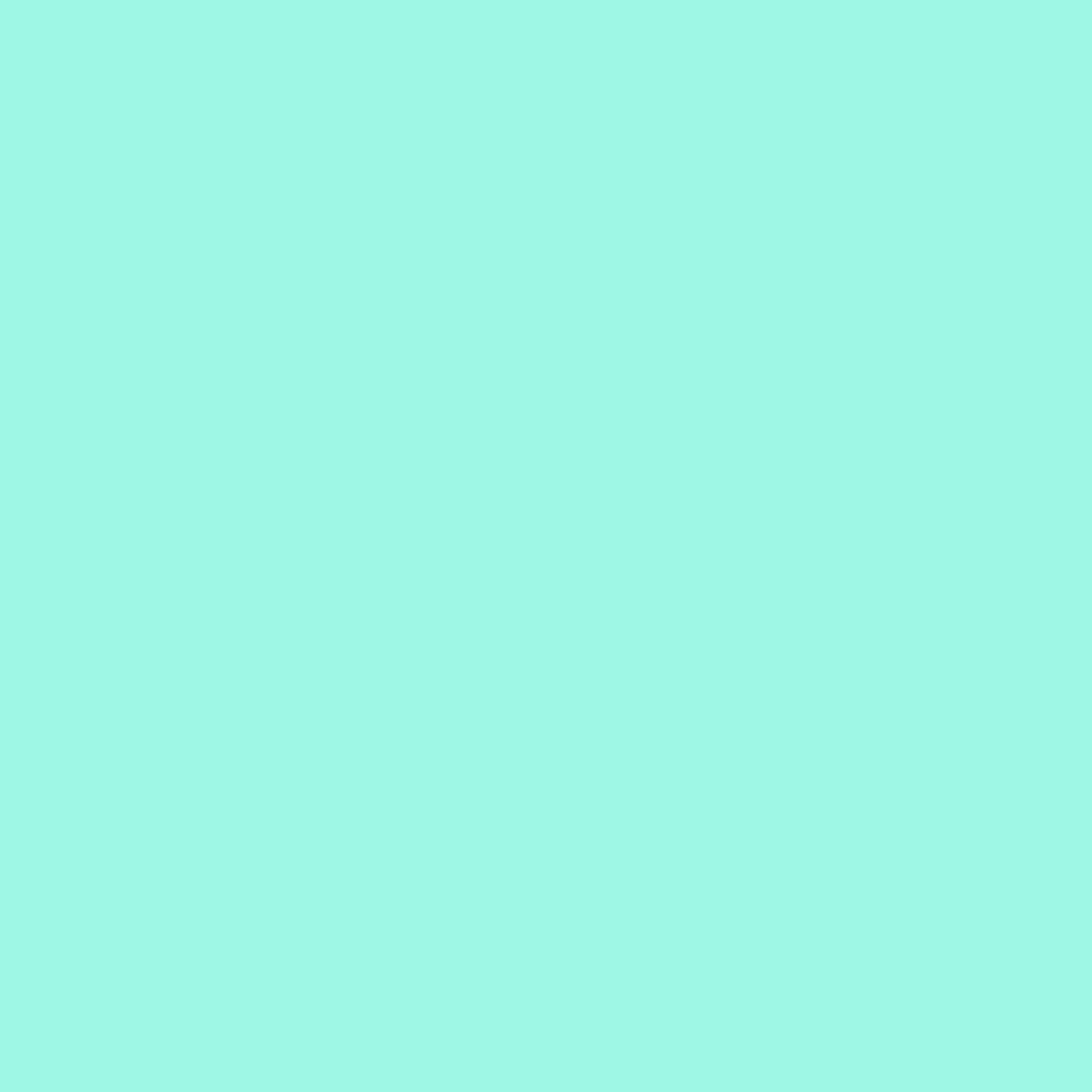 Creek Short - MINT - Eidon